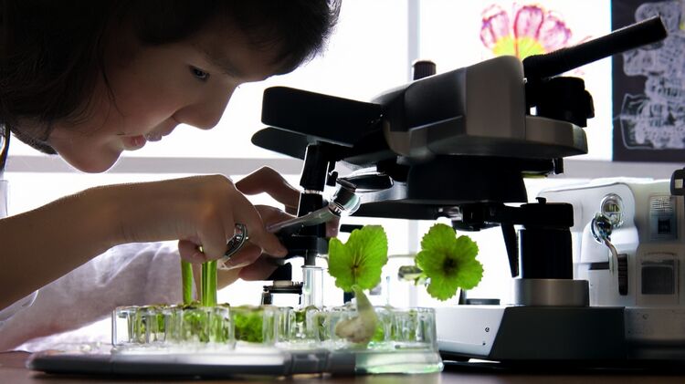 佛山國際學(xué)校有哪些